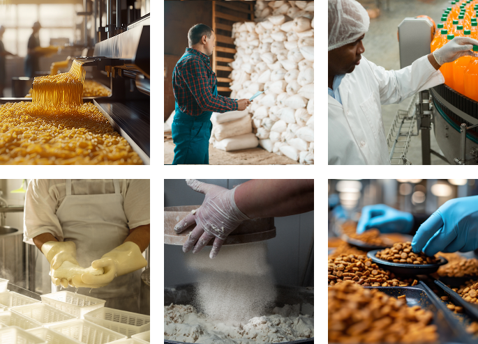 Conecta Alimentos