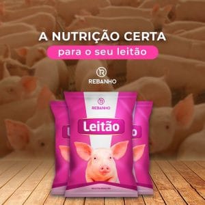Suplementação Suína - Leitão - Rebanho Soluções Agropecuárias