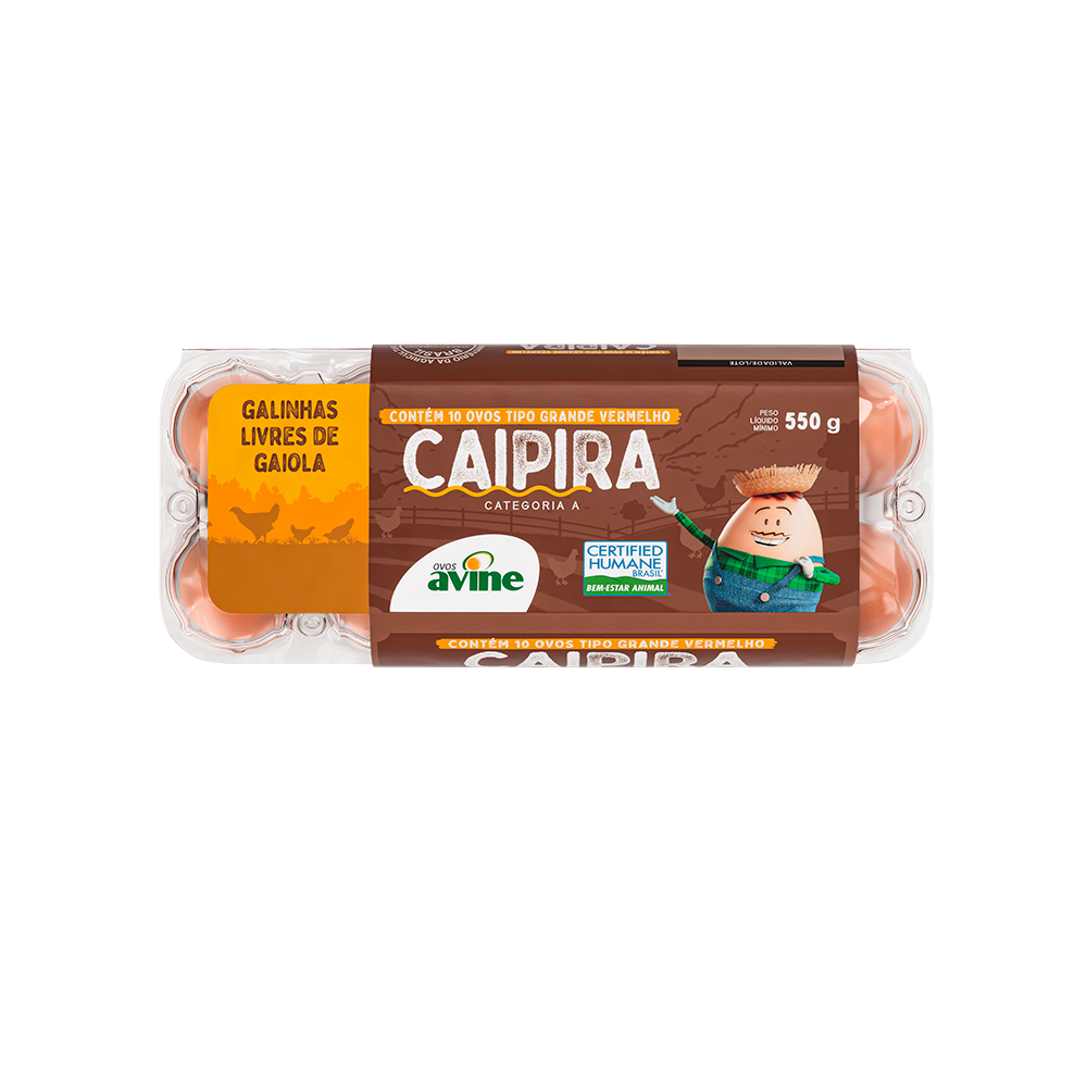 Ovos de Galinha Grande Vermelho com 10 Estojo Cristal Caipira Avine