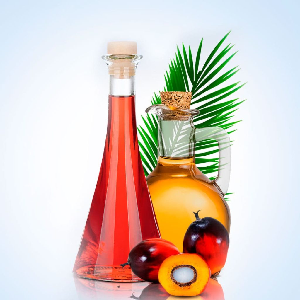 Palm Oil - Indústria Golfinho