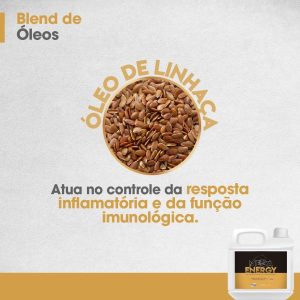 Óleo de Linhaça - Integral Mix