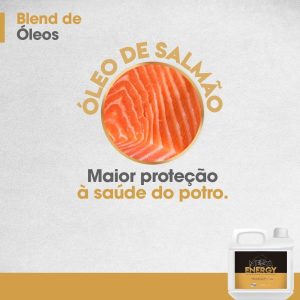 Óleo de Salmão - Integral Mix