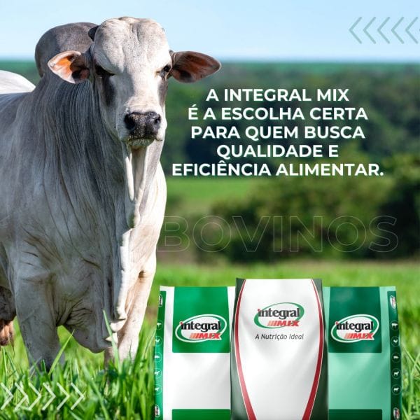 Rações para Bovinos - Integral Mix