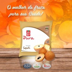 Polpa de Sapote - Relpi Alimentos